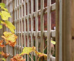 Treated Square Trellis Panel, with larger 70mm gap, ideal for growing up Pergolas and fencing